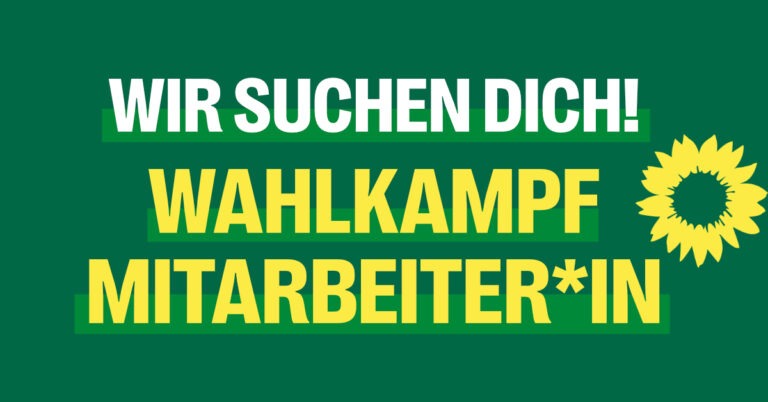 Dein neuer Job: Wahlkampfmanager*in